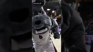 Does Gonzaga have the best homecourt advantage in college basketball [upl. by Cohby]