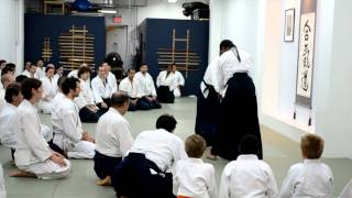 HD  Aikido Shihan Donovan Waite Sensei  2011 Canada Toronto  Katatetori Ikkyo Ura [upl. by Zeus]