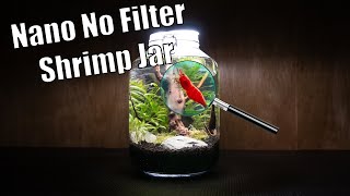 Easy No Filter Nano Shrimp Jar That ANYONE Can Build No Filter No Heater Walstad Method [upl. by Cirda181]