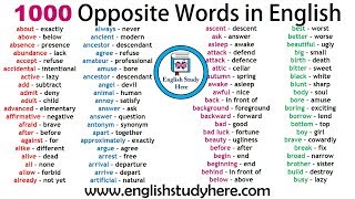 1000 Opposite Words in English  Antonym Words List  Common Opposites [upl. by Aittam729]