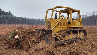 Busting Stumps With The Cat D6 Dozer [upl. by Aiclid]