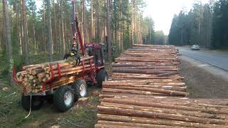 Bison Kranman 10000 and Vimek harvester in pine stand nearby Engure Latvia [upl. by Arikahs923]