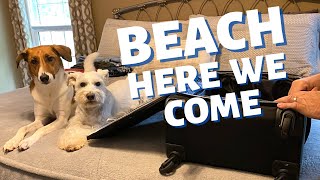 POLLUX  MAXXIE HELP ME PACK FOR OUR BEACH VACATION [upl. by Natsrik419]