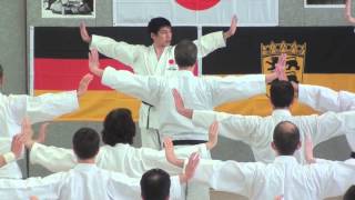 Sensei Tatsuya Naka in Kata Spezial Germany 2013 [upl. by Allisurd]