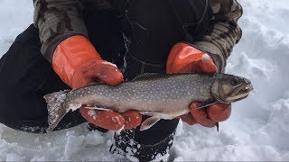 Ice Fishing for BIG Brook Trout [upl. by Etteneg]