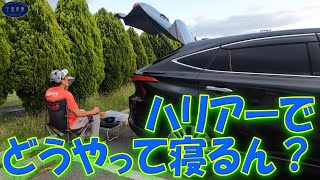 お気に入りの諏訪湖畔で呑んで食って寝る ハリアーって車中泊できるん？ [upl. by Cookie982]