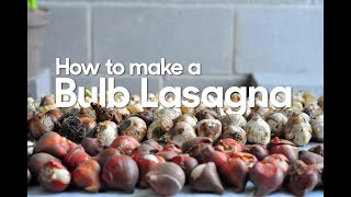 How to Make a Bulb Lasagna • Bulb Tutorial [upl. by Nilrev]