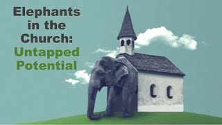 Elephants in the Church Untapped Potential [upl. by Seavir381]