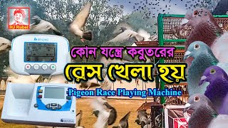 Pigeon Race Playing Machine  কোন যন্ত্রে কবুতরের রেস খেলা হয়  Benzing  HJ Rubel  এইচ জে রুবেল [upl. by Eizeerb]