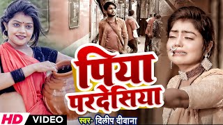 Video  पिया परदेसिया  Piya Pardesiya vannu d great  Dileep Deewana  New Sad Song 2024 [upl. by Calbert728]