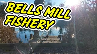 BELLS MILL FISHERY 24HR SESSION  CARP POOL  CARP FISHING 2023 [upl. by Lanna]