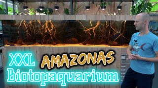 XXL Amazonas BiotopAquarium  1260 Liter Schauaquarium  Schwarzwasser  Skalare amp Salmler [upl. by Nylasoj]