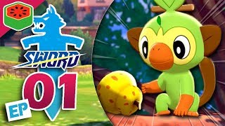 GROOKEY GANG UNITE  Pokemon Sword Lets Play 1 [upl. by Neelhsa]