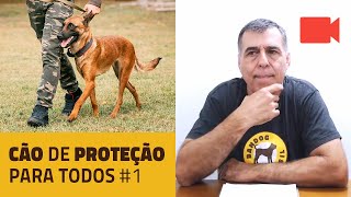 Cão de proteção para todos  PARTE 1 [upl. by Nnaitsirhc]