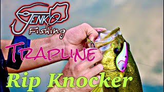 Jenko Fishing Trapline Rip Knocker Review [upl. by Zacharias]