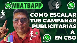 Cómo escalar tus campañas publicitarias a WhatsApp en cbo [upl. by Mozza]