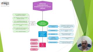 Mapa Conceptual Derecho Laboral y Seguridad Social  UNIACC [upl. by Laural]