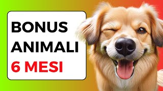 BONUS ANIMALI DOMESTICI in 6 mesi NOVITÀ 2024 [upl. by Ahsertal199]