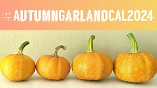 AutumnGarlandCAL2024 Introduction [upl. by Orimar906]