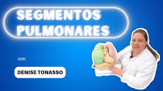 Segmentos Pulmonares [upl. by Verina]