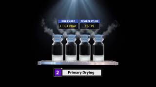 Product Lyophilization Process [upl. by Adidnac358]