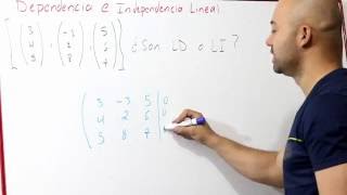 Dependencia e Independencia Lineal  Vectores  Álgebra Lineal [upl. by Karp]