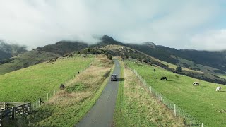 Akaroa Head  Canterbury  🇳🇿 [upl. by Jorin572]