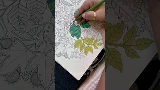 My art secret garden colouring therapy shortvideo shorts short drawing trending art artwork [upl. by Belle]