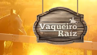 Vaqueiro RaizAutorGeilson Costa [upl. by Marasco]