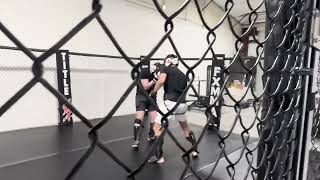 Light MMA Sparring [upl. by Nilyak193]