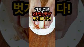 양파껍질 2초면 순 시간에 뚝딱 벗겨집니다 양파껍질 쉽게 까는 법 양파껍질까는법 양파껍질까기 [upl. by Roanna]