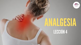 4 SISTEMA ANALGESIA ENDÓGENO FISIOLOGÍA DEL DOLOR [upl. by Harraf]