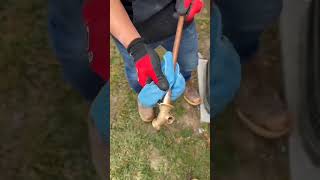 Outdoor spigot installation plumbing plumber diy [upl. by Snook]