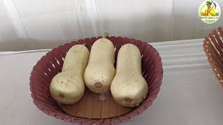 Bottle gourd fruit display [upl. by Loggins]