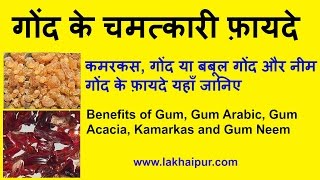 गोंद कमरकस बबूल गोंद के फ़ायदे  Kamarkas benefits Gum Acacia Benefits [upl. by Ellennod]