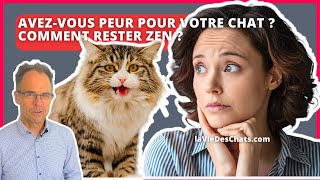 AVEZVOUS PEUR POUR VOTRE CHAT  COMMENT RESTER ZEN [upl. by Alliehs]