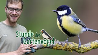 Vogelbeobachtung im Garten  für den guten Zweck [upl. by Mccartan855]