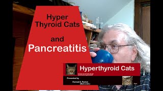 Pancreatitis and Hyperthyroid Cats [upl. by Walli]