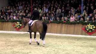 Antango  Sosath Stallion Show 2014 [upl. by Tarkany]