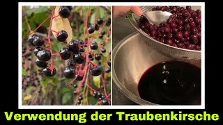 Saft aus der spätblühenden Traubenkirsche  Selbstversorgung Wildobst Fruchtsaft Rezept [upl. by Suolkcin]