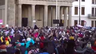 One Billion Rising 2014 Berlin [upl. by Nawk]