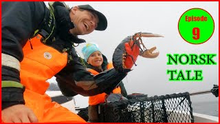 Hummerfiske i Kristiansand med norsk tale Catching big lobster [upl. by Rice16]