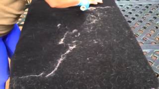 Pet hair on polar fleece [upl. by Twum104]