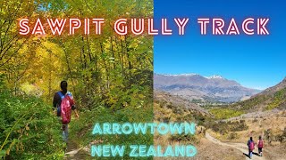 SAWPIT GULLY TRACKAUTUMN 🍁🍂WALK ARROWTOWN NZ [upl. by Anitrebla]