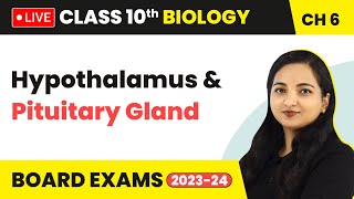 Hypothalamus amp Pituitary Gland  Control and Coordination  Class 10 Biology Chapter 6 LIVE [upl. by Reggy785]