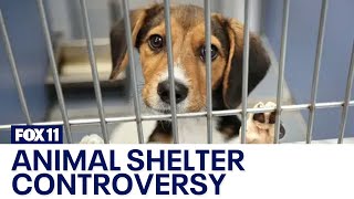 Volunteers claim Los Angeles animal shelters are euthanizing healthy dogs [upl. by Finkelstein453]