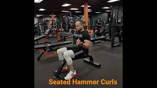 Seated Hammer Curls [upl. by Anikes]