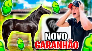 ESSE É o Meu NOVO CAVALO 😍 [upl. by Sulrac]