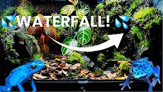 I Built A Poison Dart Frog Habitat With Water Fall [upl. by Soalokcin]