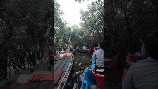 Visit the mangrove forest in Cambodia siemreap traveling travelvlog tonlesaplake tourism [upl. by Htinnek]